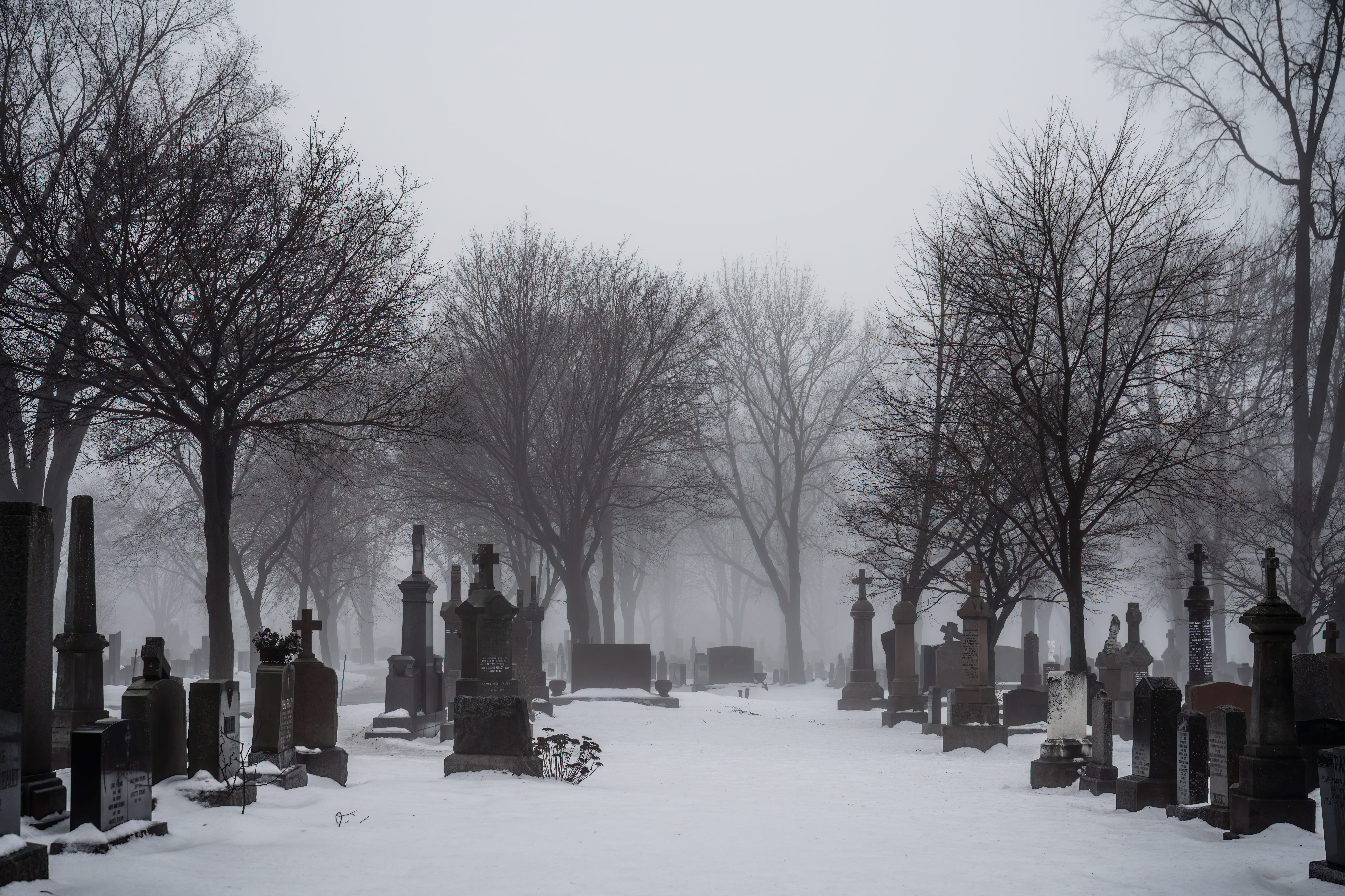 cemetery.jpg