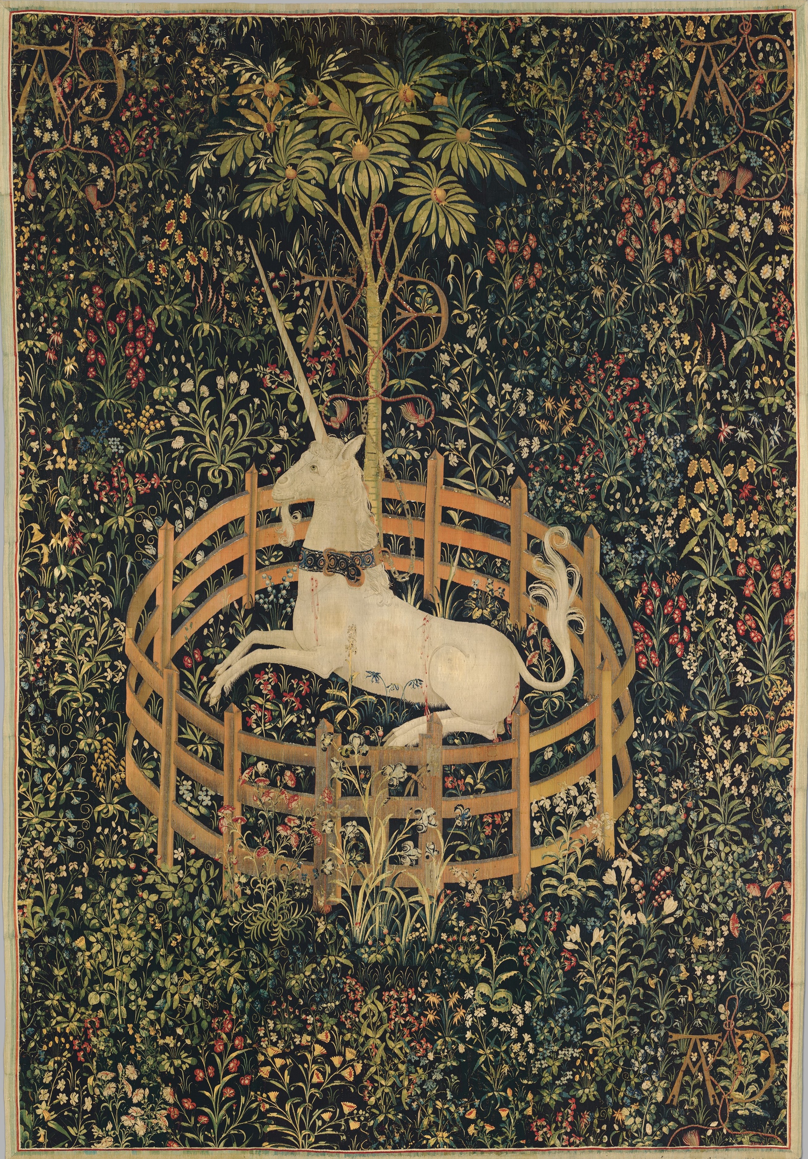 einhorn.jpg