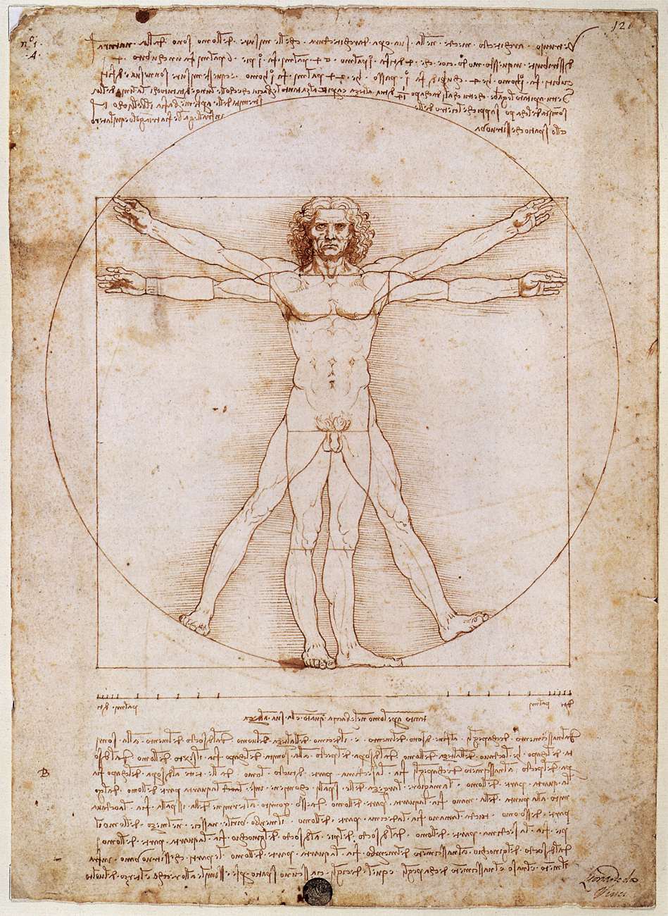 vitruvian.jpg